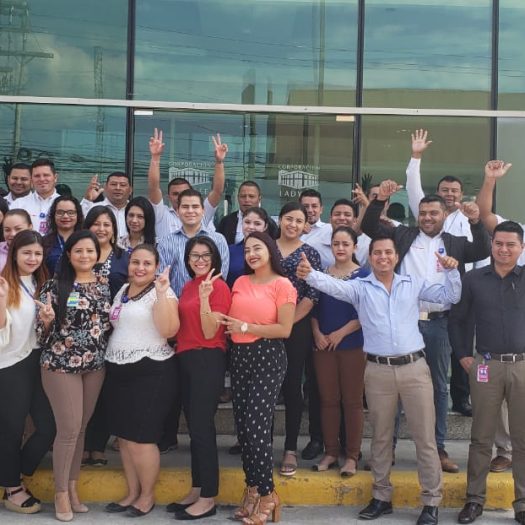 Estrategias para 2019-Cobros CrediLee – Corporación Lady Lee