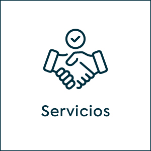 Servicios
